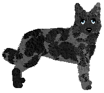 Profile image of Minden Crazy Equals Genius