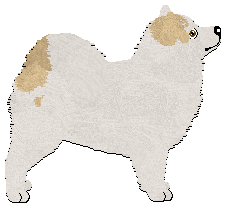 Profile image of Monkshood Traveler in a Shaman Dream