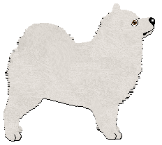 Profile image of Monkshood Dance of the Ice Bear