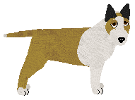 Profile image of I Dont Get It at Kezia