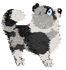 Moonvale's Piranha Club at Dalheaf — “Toto”