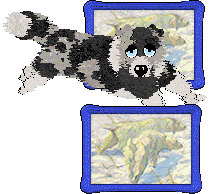 Moonvale's Piranha Club at Dalheaf — “Toto”