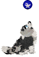 Moonvale's Piranha Club at Dalheaf — “Toto”