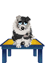 Moonvale's Piranha Club at Dalheaf — “Toto”