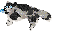 Moonvale's Piranha Club at Dalheaf — “Toto”