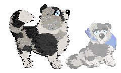 Profile image of Moonvale's Piranha Club at Dalheaf