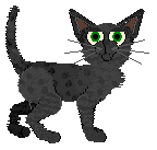 Frogbowl Rebel Heart — “Mered”