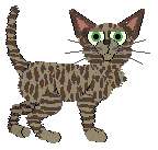 Frogbowl Father's Star — “Antef”