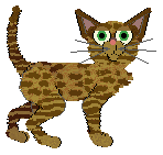 Frogbowl Lion's Mane — “Mehi”