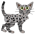 Frogbowl Delightful Meow — “Shadya”