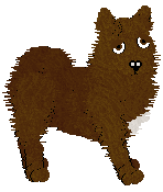 UMZ's Vers l'arrière Passion — “Harlem”