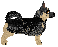 Black Flash at VON — “Yuji”