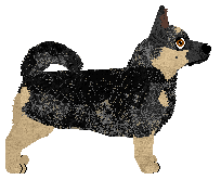 Profile image of Black Flash at VON