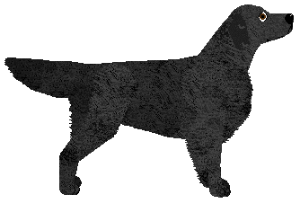 MORPHEE's Mantus — “Liam”