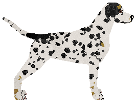 Cansas' Anyway, I Love It — “Juniper”