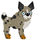 Chachke's Beware of Dog — “Spike”