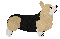 Cansas' Small but Mighty — “Rhodri”