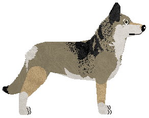 Cansas' Shadow of the Mountains — “Tosca”