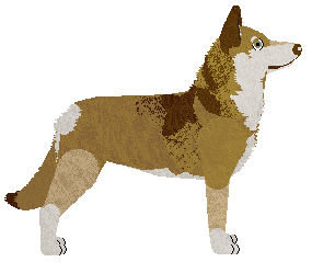 Cansas' Garou Loup — “Garou”