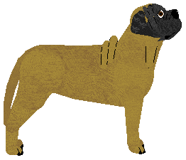 Cansas' Thoughts Like This — “Doyle”