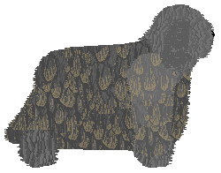 Cansas' Freaky Like Me — “Dasza”