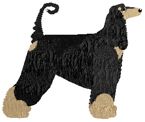 Cansas' Vendikhar Roulette — “Cassius”