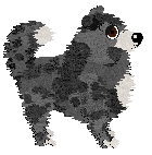 Royalty's Freehand Masterpiece — “Doodle”