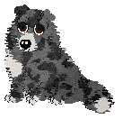 Profile image of Royalty's Freehand Masterpiece