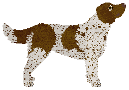 Cansas' Indeed Sweet — “Tajga”