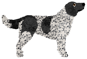 Cansas' Warm Brandy Glow — “Fala”