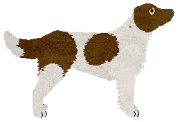 Cansas' Vermillion — “Caesar”