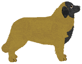 Cansas' Rouge Diva — “Lucy”