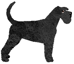 Cansas' Ad Astra — “Astra”