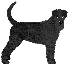 Profile image of Cansas' Ad Astra