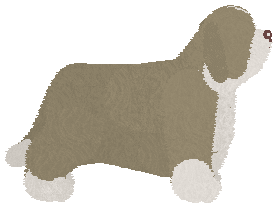 Cansas' Birds of a Feather — “Birdie”