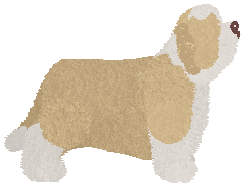 Cansas' Wildflower — “Bernard”