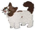 Profile image of Sweet Tea Spice Is Nice