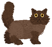 Sweet Tea More Boba — “Bubble”