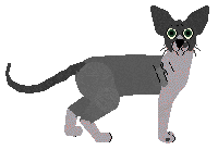 Rumpleteazer Night in Tunisia — “Betelgeuse”