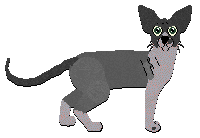 Profile image of Rumpleteazer Night in Tunisia