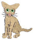 Profile image of Cargo's Fast and Purrious at Wraith