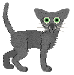 Cargo's Can't Catch Me at Wraith — “Nissa”