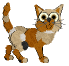 Killian's Hazelnut Delight — “Hazel”