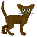 Cargo's Winner Takes All at Wraith — “Monty”