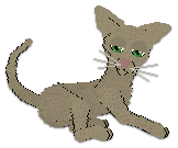 Profile image of Cargo's Playing with Fire at Wraith