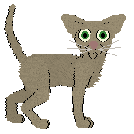 Cargo's Playing with Fire at Wraith — “Viper”