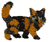 Profile image of Sweet Tea Cold Brew