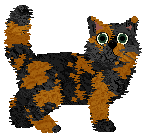 Sweet Tea Cold Brew — “Icey”