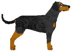 Gladiator Confrontation — “Hyde”