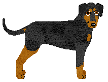 Profile image of Gladiator Confrontation